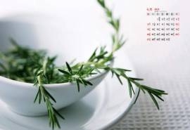2014年7月日历壁纸素雅绿色室内盆栽小清新护眼