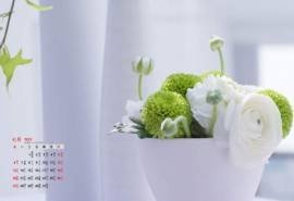 2014年7月日历壁纸极简温馨淡雅室内小盆栽花朵装饰