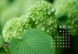2014年8月日历壁纸简约清新大自然唯美植物图片(二)