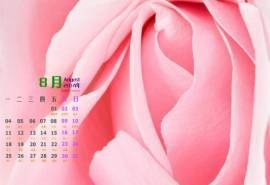 2014年8月日历七夕礼物玫瑰花桌面壁纸图片下载（二）