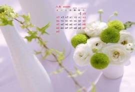 2014年8月日历桌面壁纸小清新素雅的创意家居插花图片
