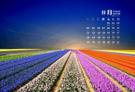 2014年8月日历壁纸清新大自然好看风景图集win8锁屏图片(二)