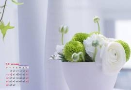 2014年9月日历壁纸清新素雅简约唯美盆栽高清