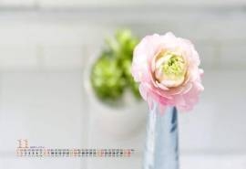 2014年11月日历壁纸唯美大自然小清新素雅花朵盆栽(1)