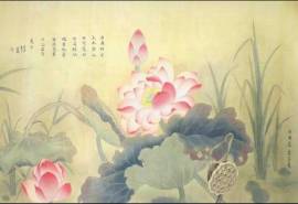 小清新素雅纯洁荷花中国风唯美高清桌面壁纸(一)