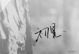 最流行表情包极简创意非主流伤感颓废语录文字高清桌面壁纸(2)
