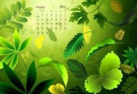 2014年12月日历壁纸清新大自然绿色护眼树叶特写(二)