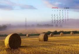 2015年1月日历壁纸精选夕阳黄昏下的原野唯美草卷素材图片下载7P