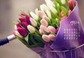 2015年2月日历壁纸情人节表达爱意的浪漫玫瑰高清桌面图片下载