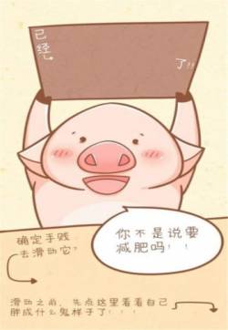 萌贱小猪可爱高清手机桌面壁纸下载