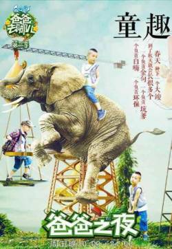 爸爸去哪儿爸爸之夜海报手机壁纸下载