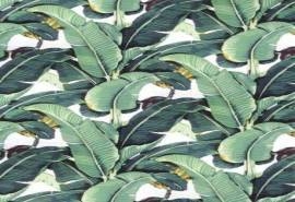 叶子纹理绿色植物手机锁屏壁纸