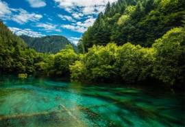 高清美景四川九寨沟夏日唯美自然风景壁纸图片大全下载