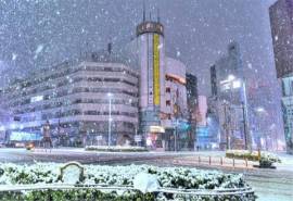 东京下雪唯美城市雪景电脑桌面壁纸