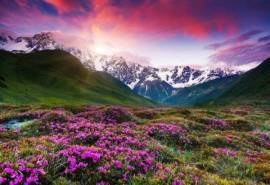 精选绿色草原山脉风景电脑壁纸图片 第一辑