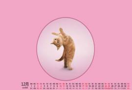 2016年12月日历会跳舞的喵星人搞笑电脑壁纸下载