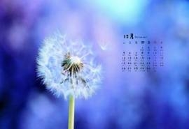 2016年12月日历蓝色蒲公英背景电脑桌面壁纸