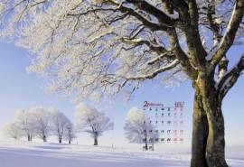2017年2月唯美雪景树木高清桌面日历壁纸