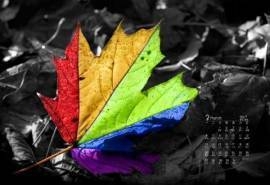 2017年3月飘零树叶高清桌面日历壁纸