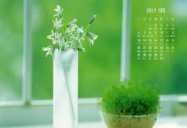 2017年3月春天绿色植物高清日历桌面壁纸