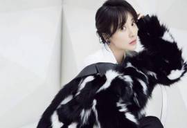 中国内地湖南衡阳女演员柳岩时尚杂志写真桌面壁纸