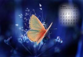 2017年4月飞舞的蝴蝶唯美高清日历壁纸