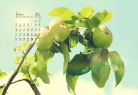 2017年4月青苹果设计创意日历壁纸