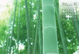2017年4月清新唯美竹林高清自然风光护眼日历壁纸