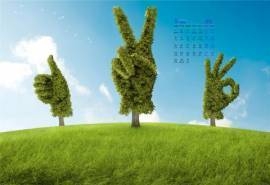 2017年5月清新树木设计创意高清日历壁纸