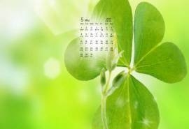 2017年5月小清新简约树叶设计日历壁纸