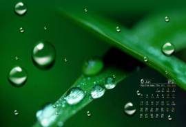 高清雨水2022年6月绿叶上的水滴高清护眼电脑桌面日历壁纸