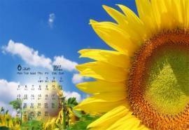 2017年6月金色的向日葵桌面日历壁纸