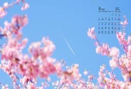2017年9月唯美日本樱花小清新高清日历壁纸