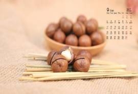 2017年9月美味坚果夏威夷果高清日历壁纸