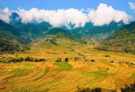 广袤的田园风景图片高清宽屏桌面壁纸