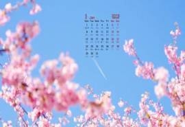 2018年1月日本樱花图片桌面日历壁纸