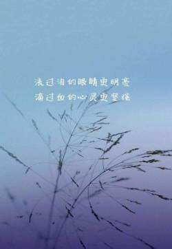 悲伤文字语录图片高清手机壁纸