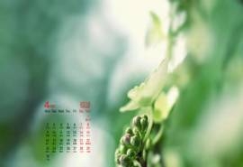 2018年4月护眼绿色高清小清新桌面日历壁纸