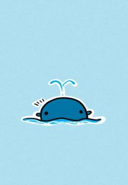 海豚