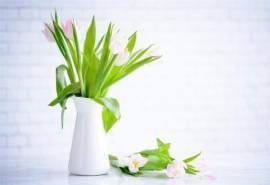 清新插花盆栽唯美高清桌面壁纸