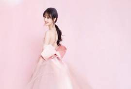 高清中国内地女演员郑爽甜美仙气写真桌面壁纸