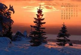 2020年4月雪中松树林唯美高清日历壁纸