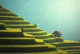 寂静的田园湖泊风景桌面壁纸