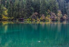 高清美景九寨沟超美风景图片桌面壁纸