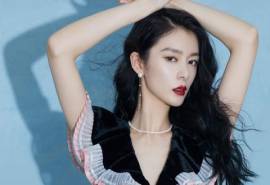 高清湖南性感女星傅菁慵懒港风造型高清桌面壁纸
