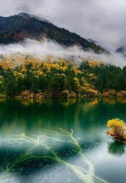 高清美景九寨沟唯美自然风景手机壁纸