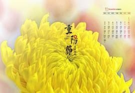 2020年11月重阳节娇艳菊花高清日历壁纸